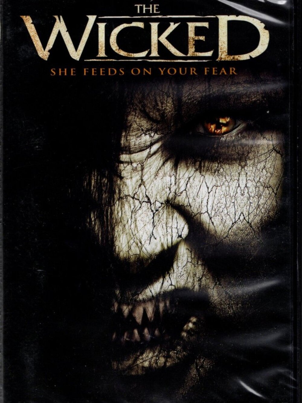 The Wicked DVD New Sealed Horror Movie Devon Werkheiser RLJ Entertainment